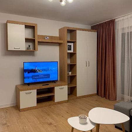 Sunny Apartment In Szucsáva Kültér fotó